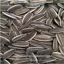 2019 New Crop Chinese sunflower seeds inner mongolia factory